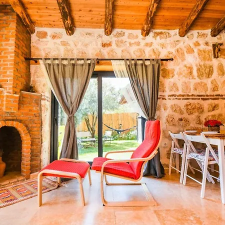 Salep Evi Vilă